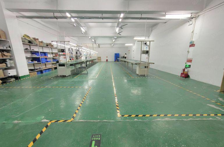 西乡九围鹤洲洲石路，工业区450平，带装修厂房出租，带吊机口