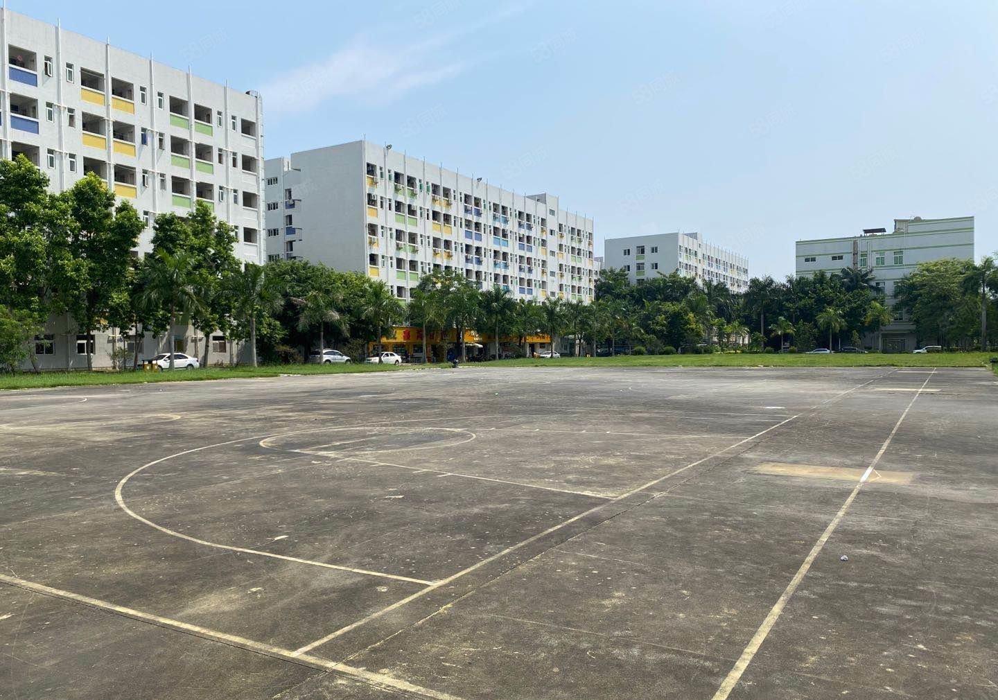 石岩塘头高新科技园3楼整层6800平精装修可分租