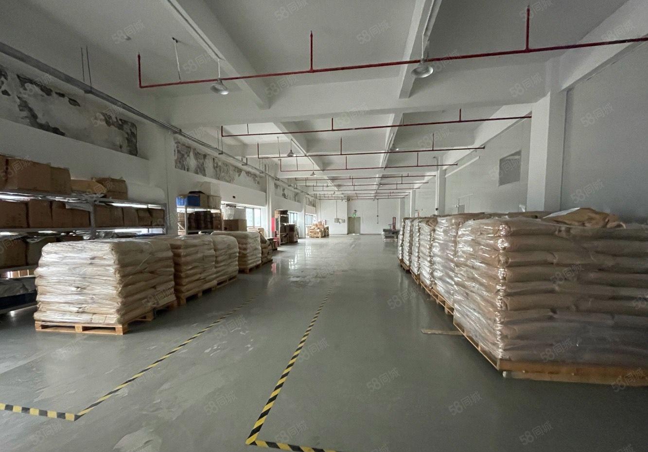 24元起租松岗工业园原房东红本500平方2000平厂房出租