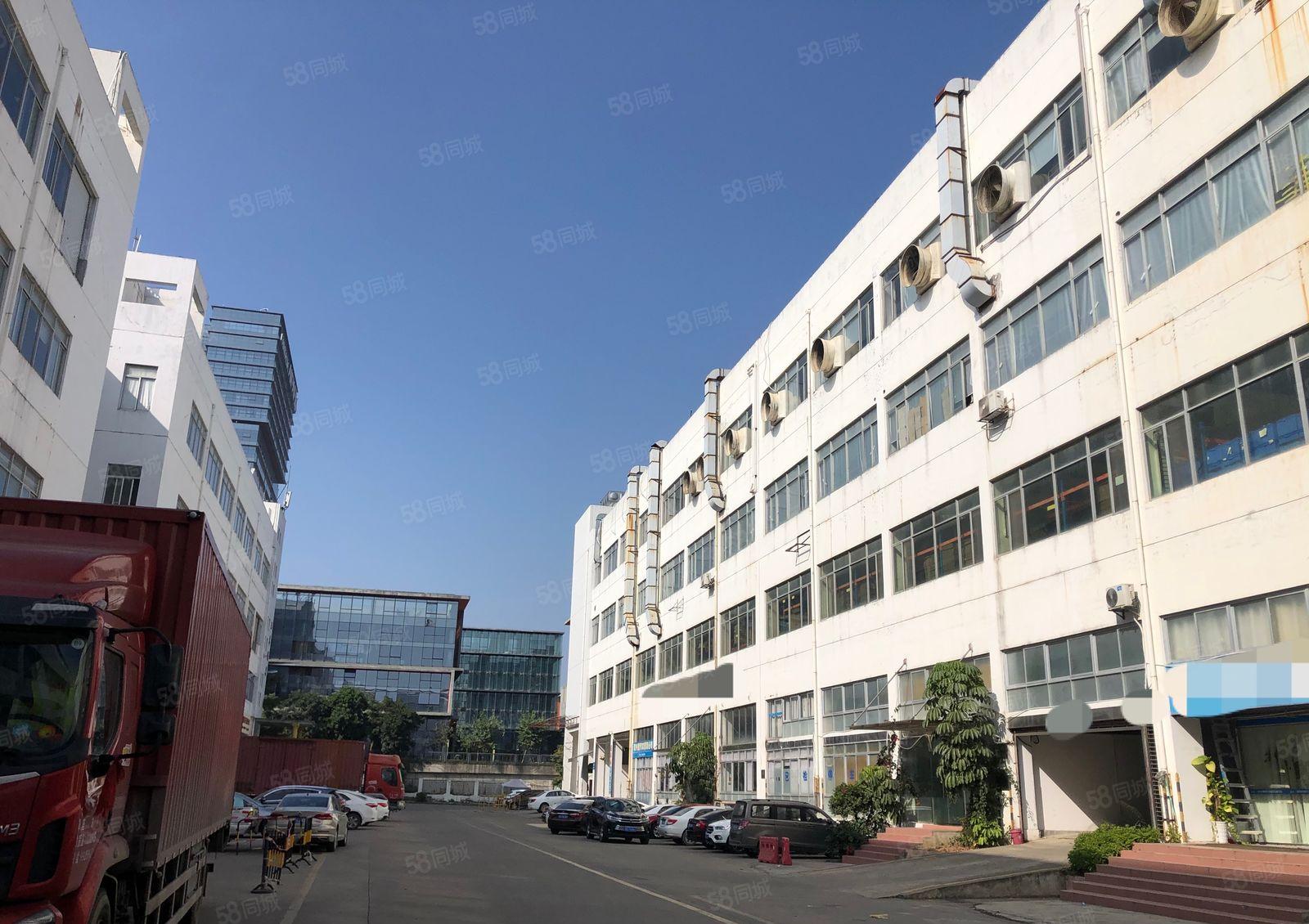 60天免租期松岗工业区新出房源800平精装厂房办公仓库出租