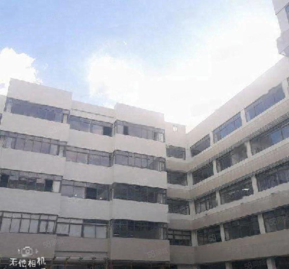 兴东洪浪北有88平至2500平特价35 低价厂房仓库出租