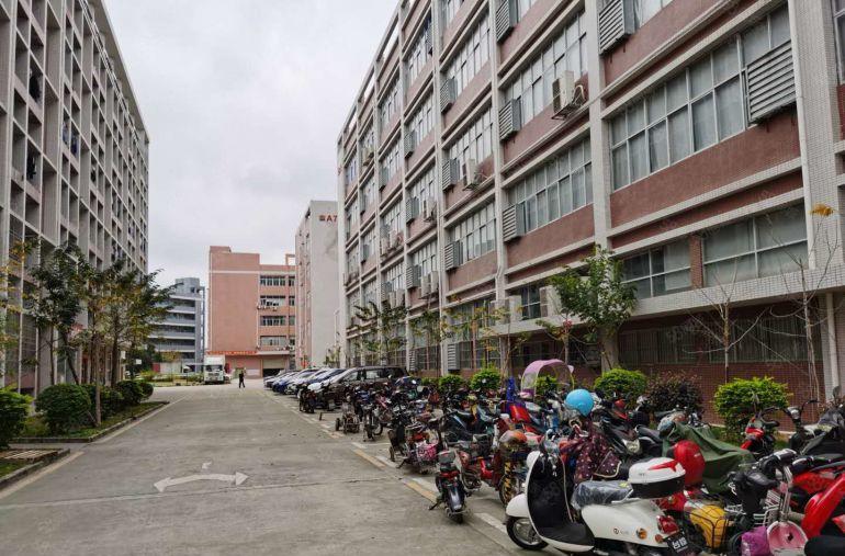 红本西乡原房东直租500平3000平20000请带装修厂房租