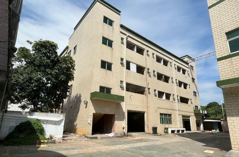 松岗广田路边3层独院带行车厂房出租4000平方实际面积高6米