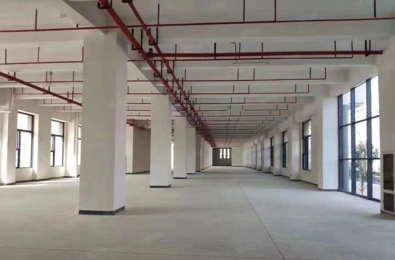 松岗国企全新厂房出租重工业上楼300平米到5000平米可分租