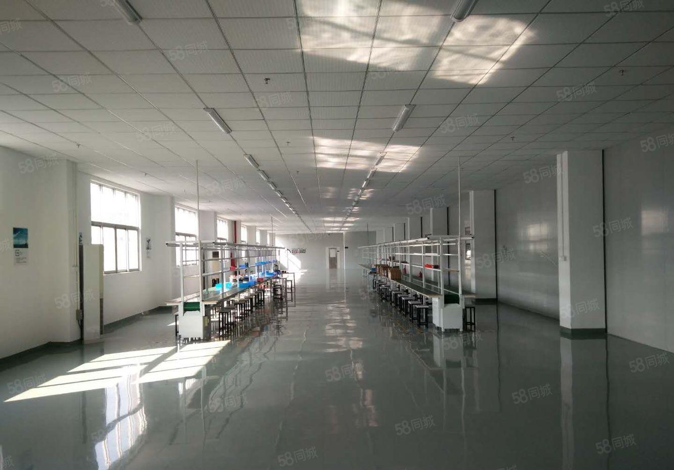 福永新和新出楼上1100平米带装修招租厂房出租