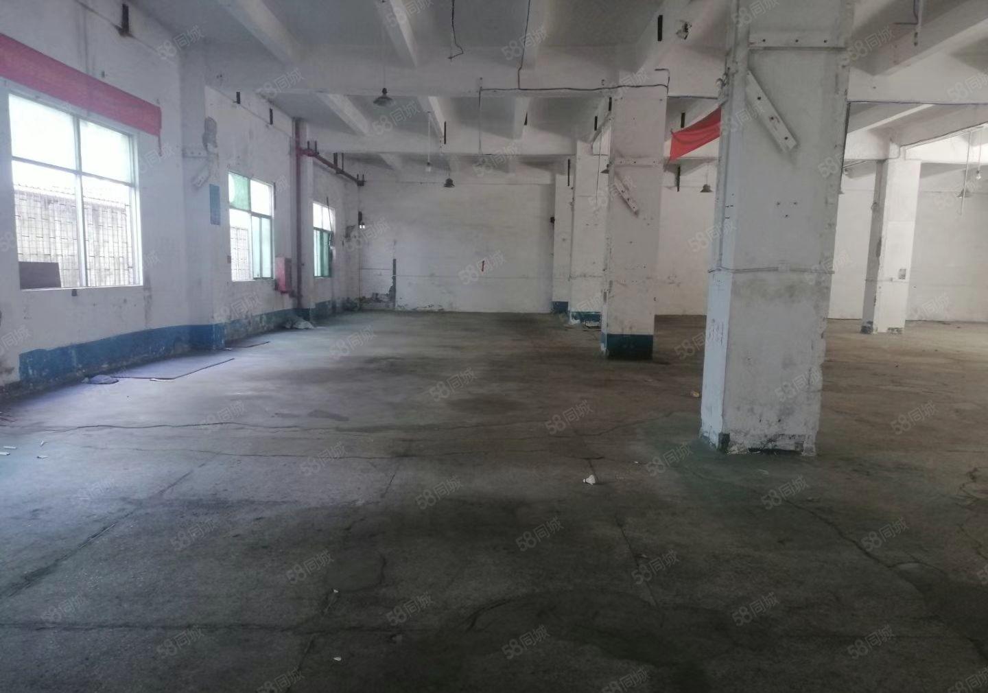 （出租）固戍一楼厂房1050平1300平1600平大小可分租