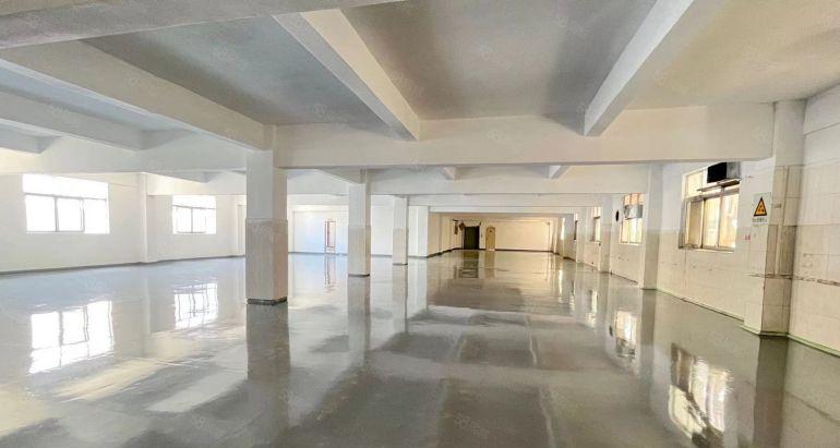 松岗楼岗2楼整层1300平方厂房出租