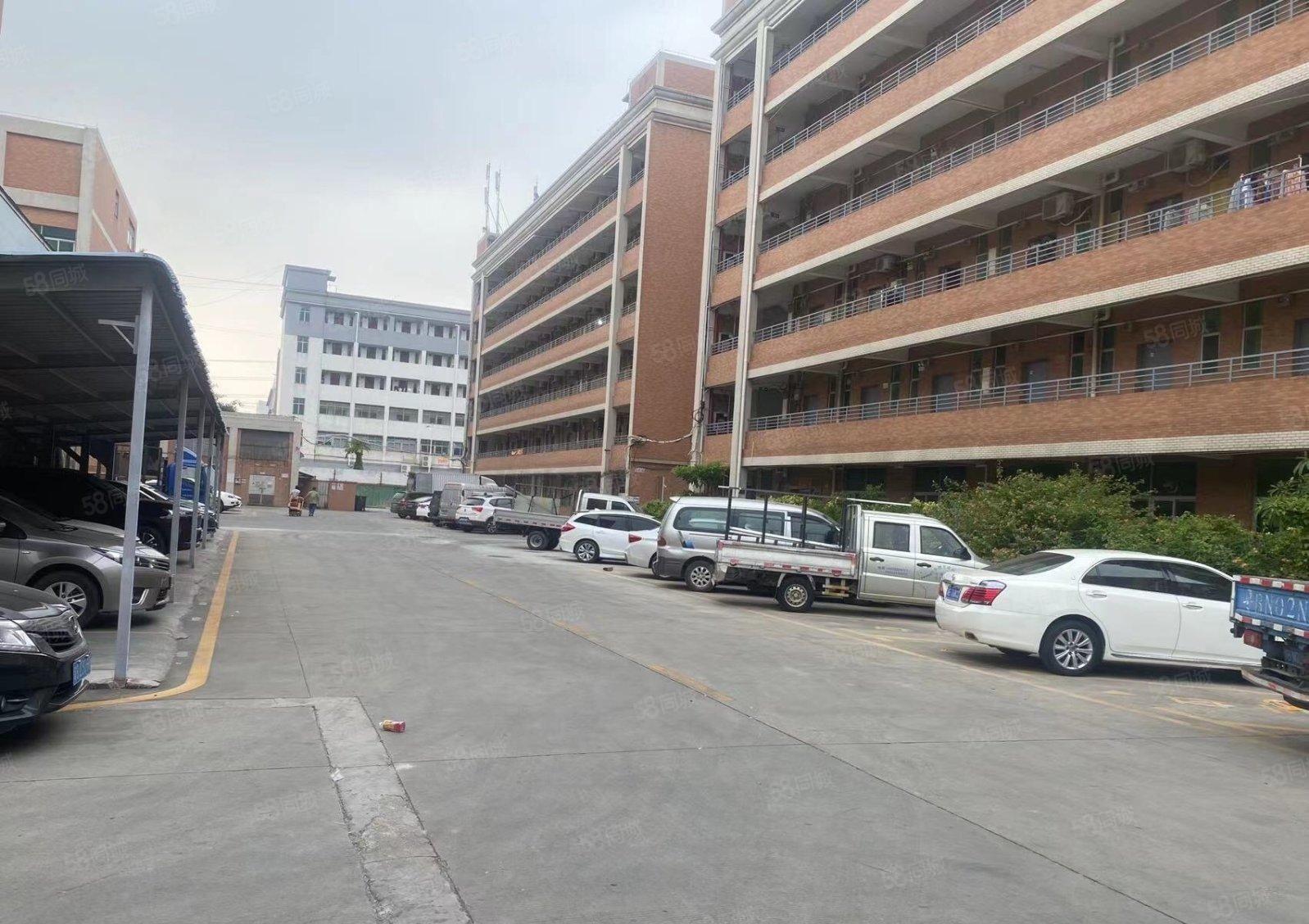 松岗107国道边一整栋宿舍5000平方出租