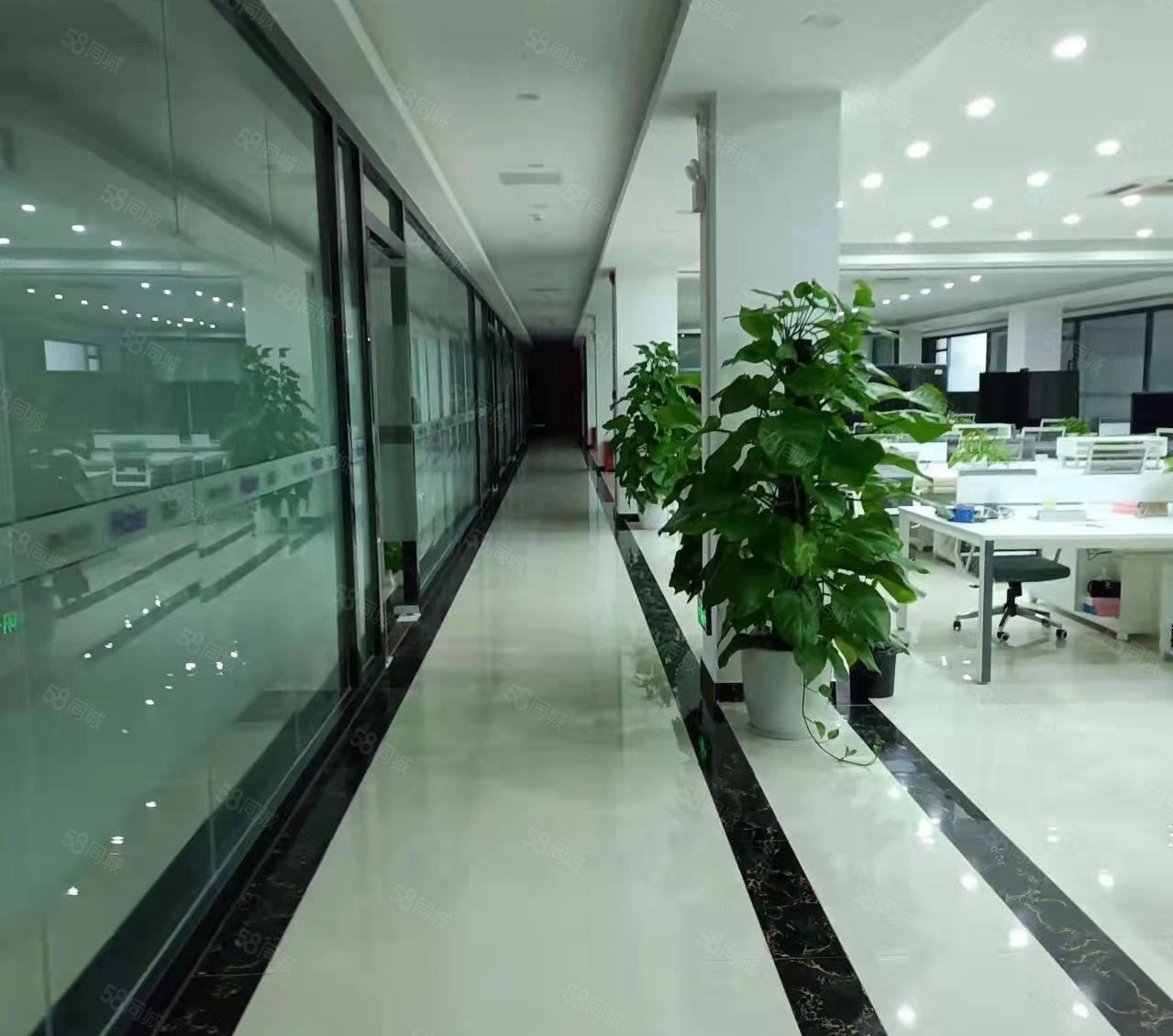 兴东地铁口，业主直租。位于宝安新安五号线，交通便利。