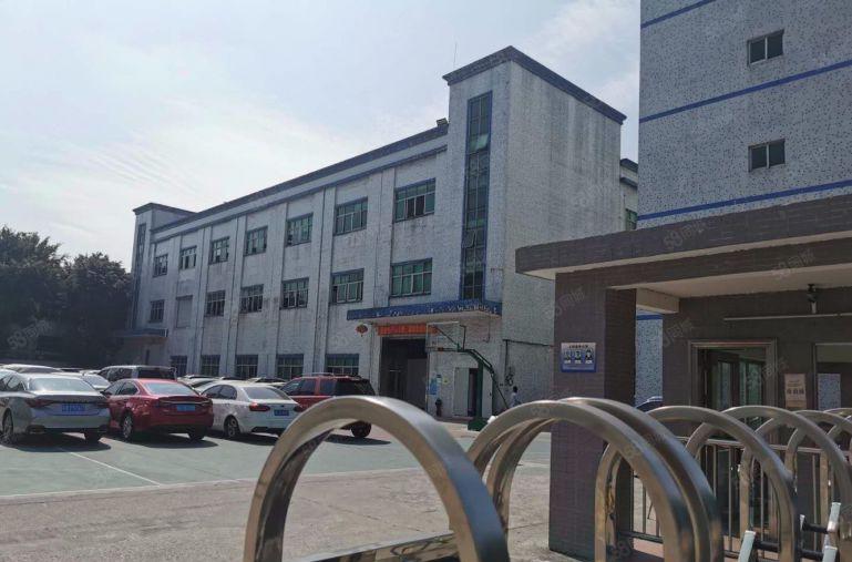 石岩汽车站新出一楼800平方厂房出租