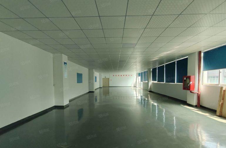 独门独院15块出租厂房4.5千平松岗原房东厂房出租独院