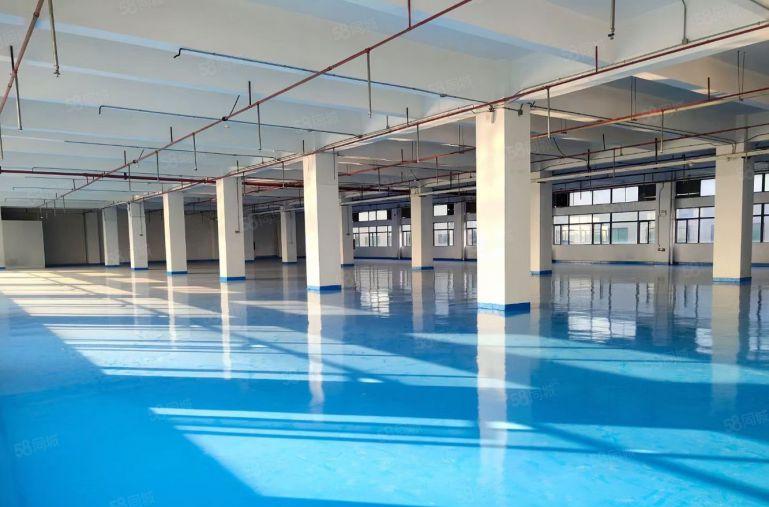 西乡国企直租200到4000平大小分租办公室仓库重型厂房出租