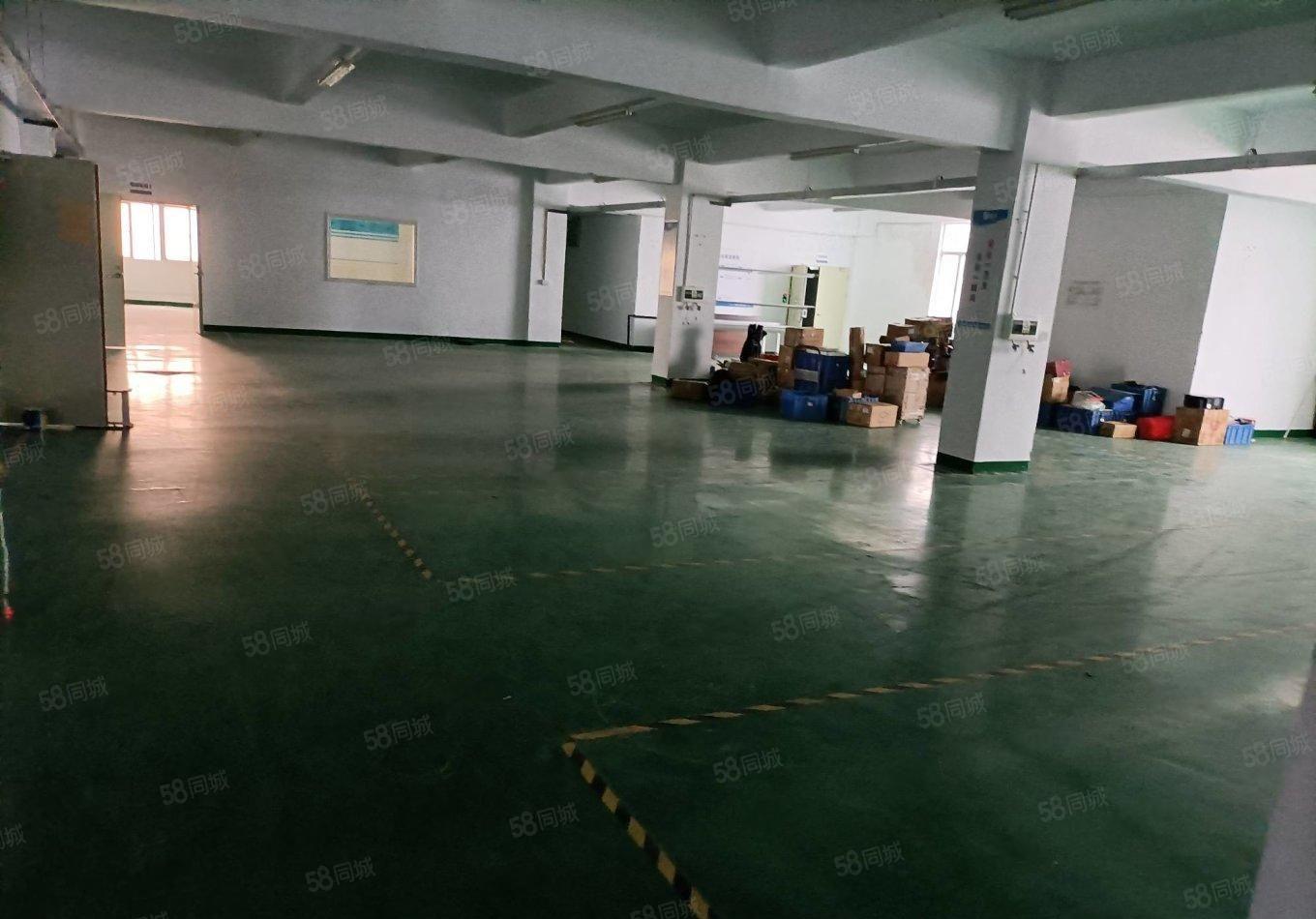 福永107国道边红本带精装修2000平厂房招租500平起分租