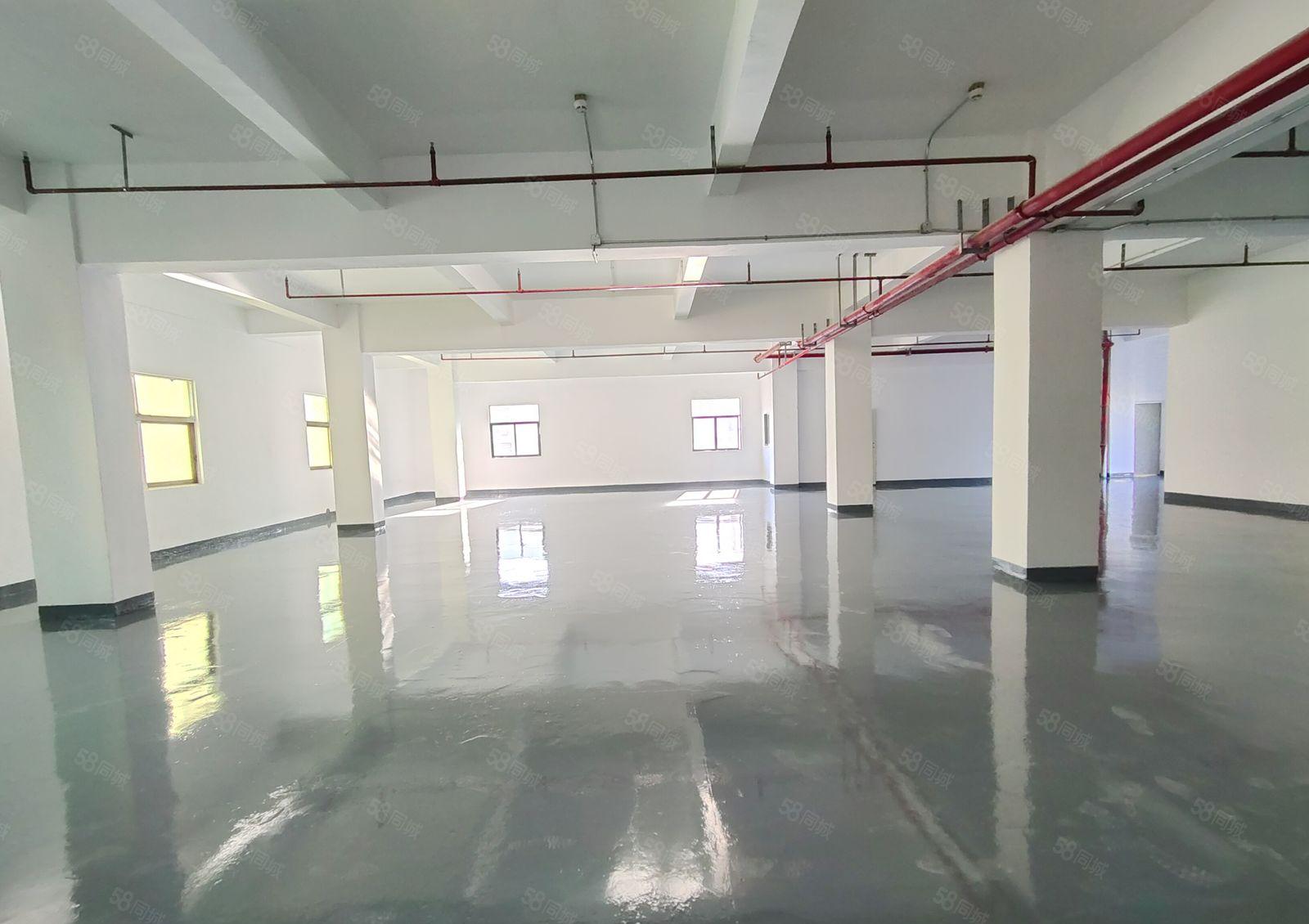 西乡，固成，宝安大道边，原房东全新装修550平整层办公，厂房