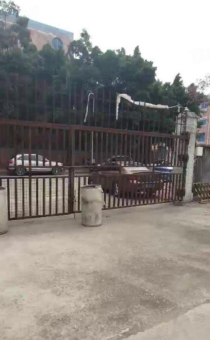 兴东地铁口国企红本厂房出租独门独院厂房出租可分租