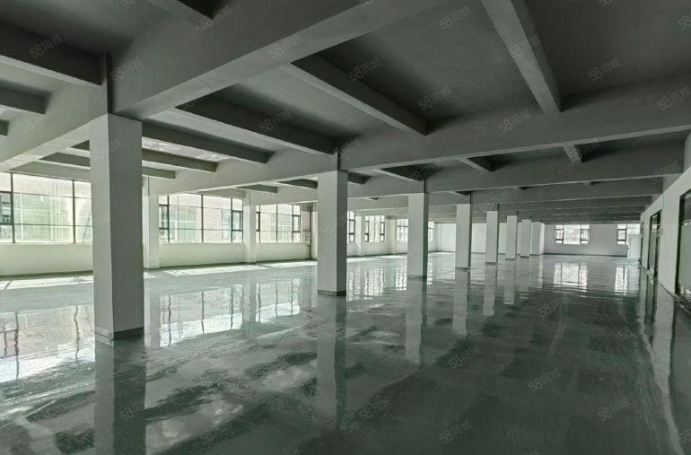 石岩原房东红本一二楼2000平厂房出租仓库出租，200平起分