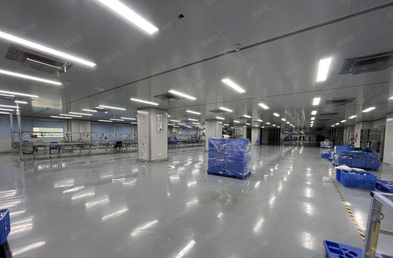 西乡107国道边独门独院6000平米精装修无尘厂房出租空地大