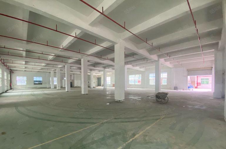 宝安石岩工业区2000平红本厂房出租 原房东200起分