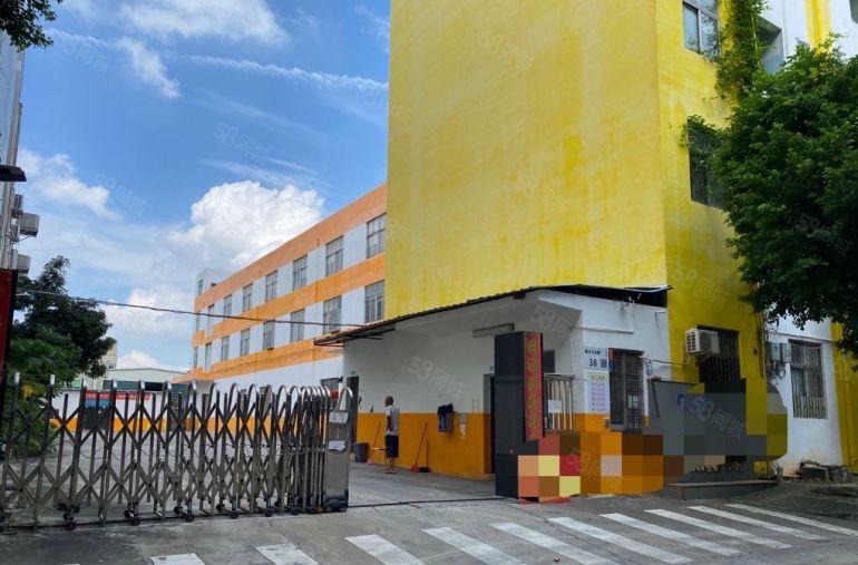 松岗原房东红本精装修三层独院3400平