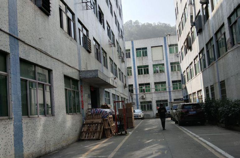 西乡黄麻布洲石路旁工业区楼上760平，报价22元