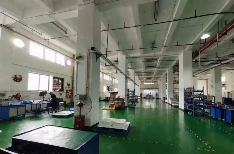 上南107国道旁原房东一楼800平方米实用面积出租