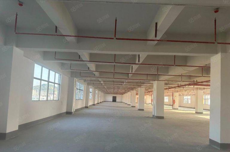 合同十年 西乡固戍地铁口独门独院7700平村委厂房出租可分租