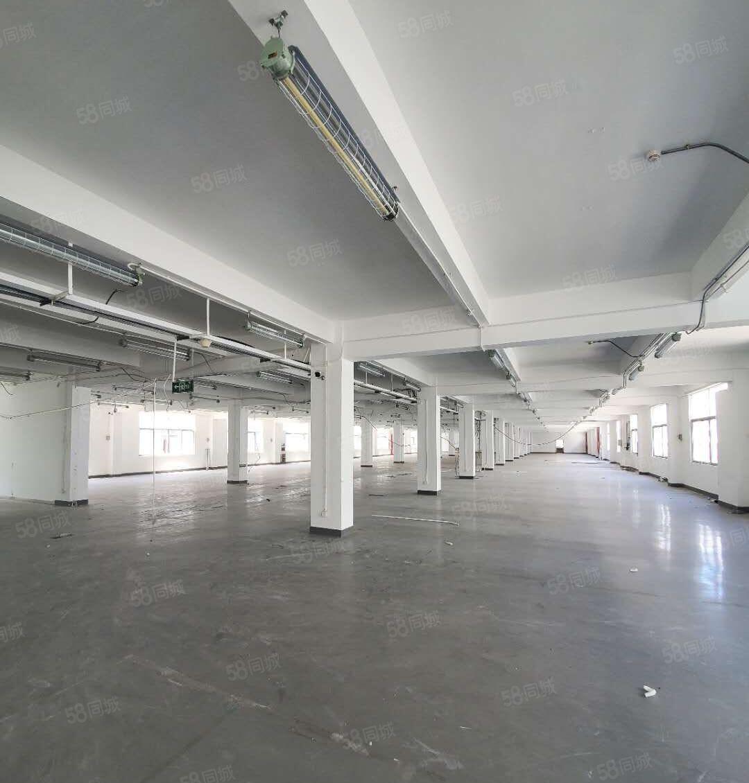 宝安5号线洪浪北地铁口整层1700平厂房，仓库物业直租