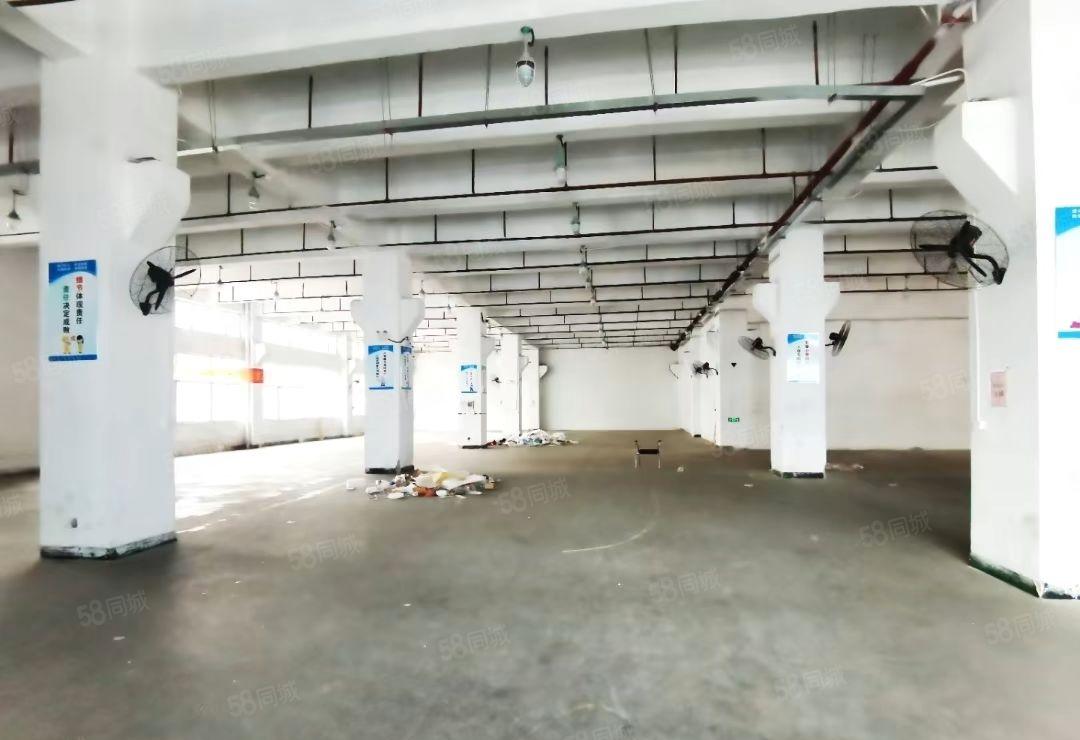 西乡固戍一楼精装修厂房仓库3000平28元1平交通方便进大车