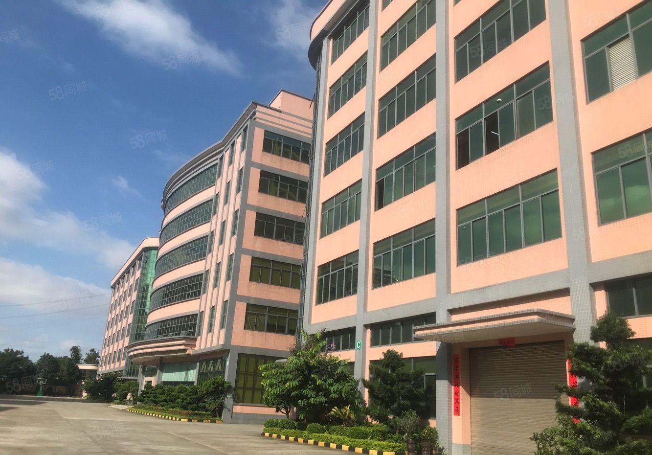 石岩高速口独门独院工业园厂房出租 超大空地 适合电商物流仓库