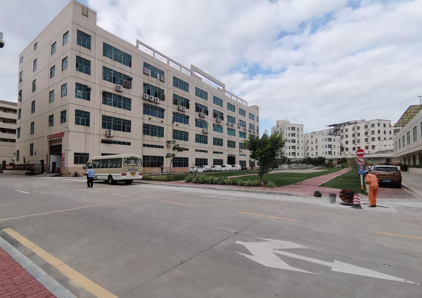 石岩创维附近工业园原房东整栋厂房单层1893平出租超高使用率