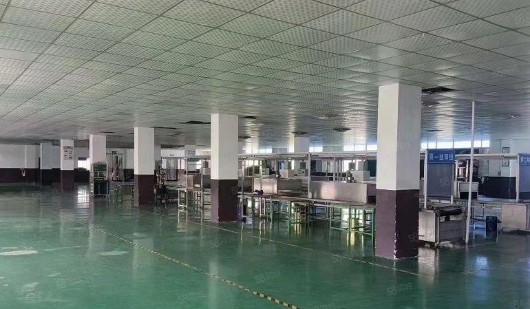 松岗中学独院厂房出租6150平注塑厂带行车800平起分电可过