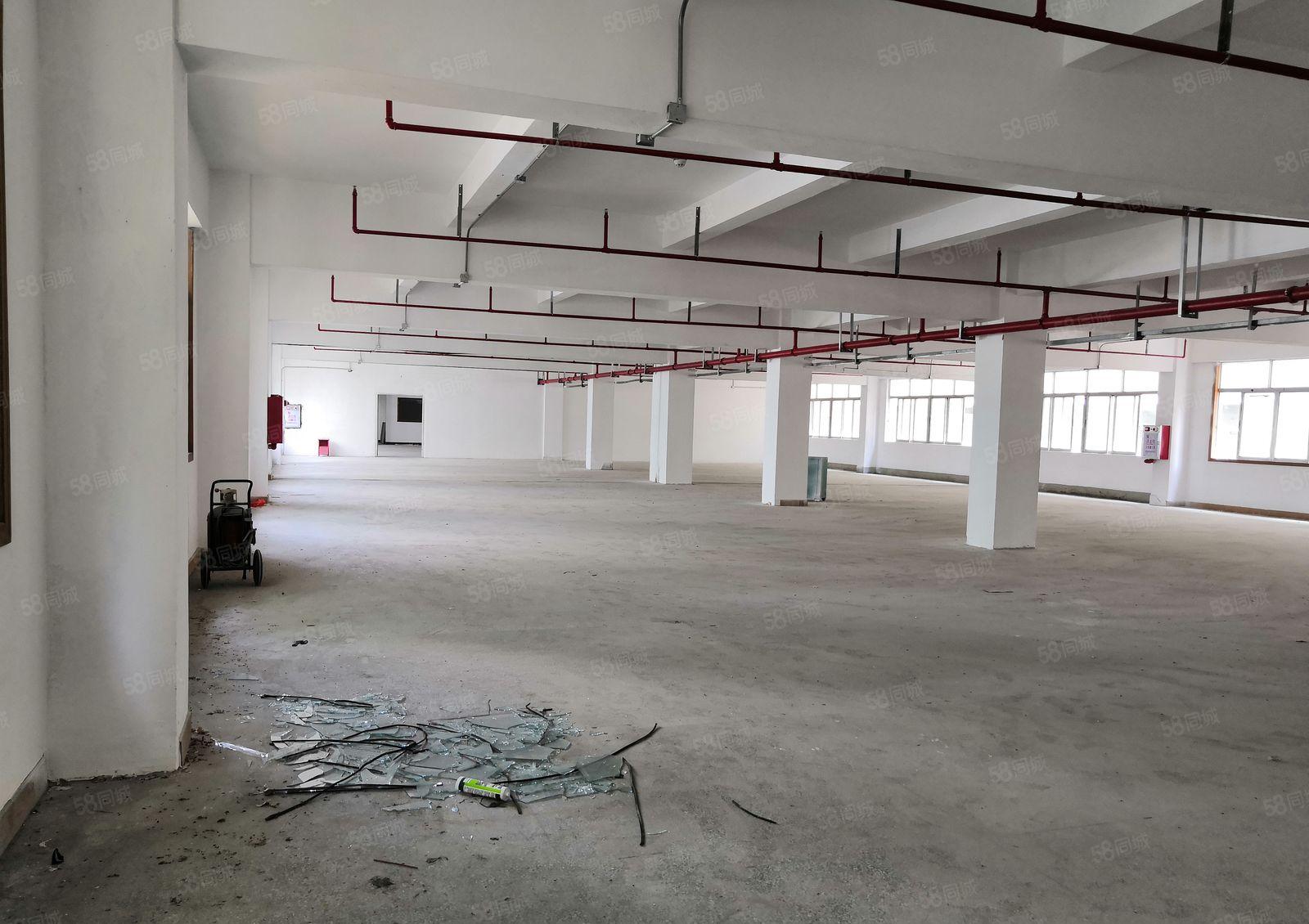 新安洪浪北楼上厂房1750平，大小分租。适合仓库或生产