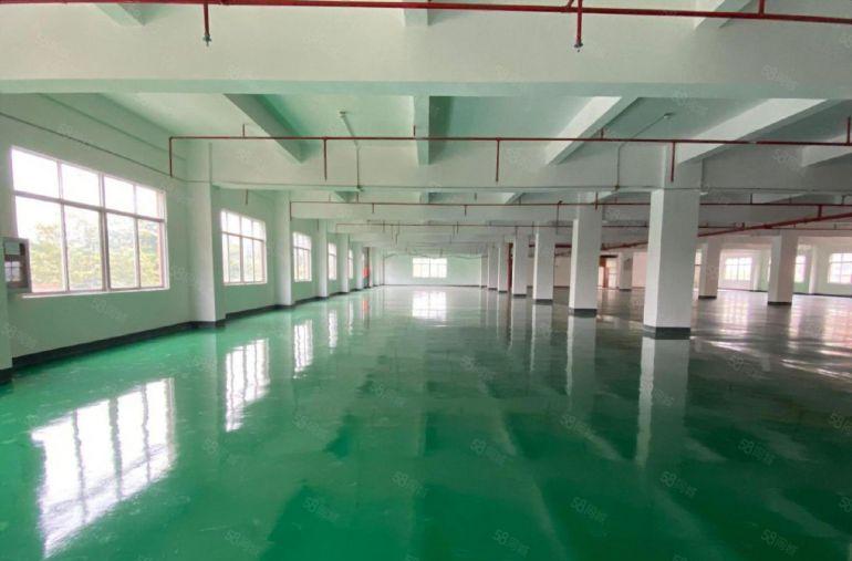 超大空地红本独院西乡新出红本独院厂房15000平方出租可分租