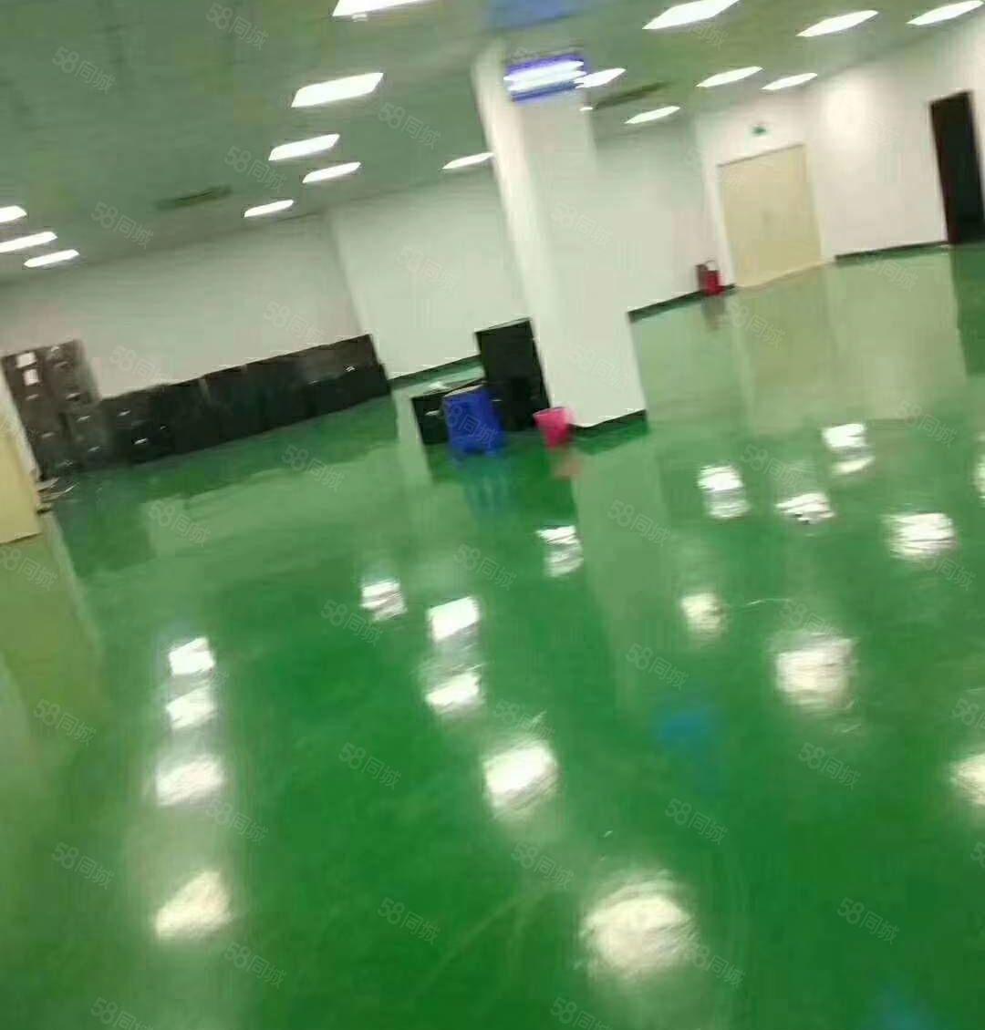 九围勒竹角700平米带装修无尘车间电子厂厂房出租