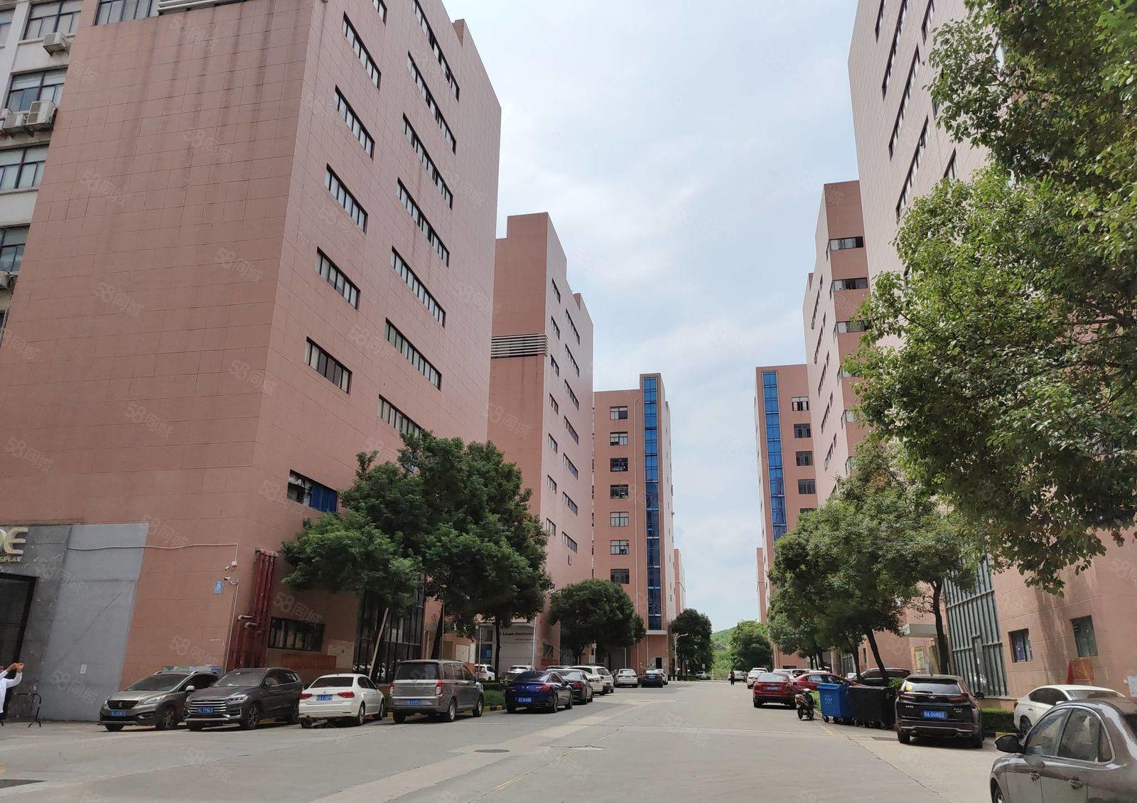 宝安区石岩原房东大型工业园900平厂房出租，现成精装修