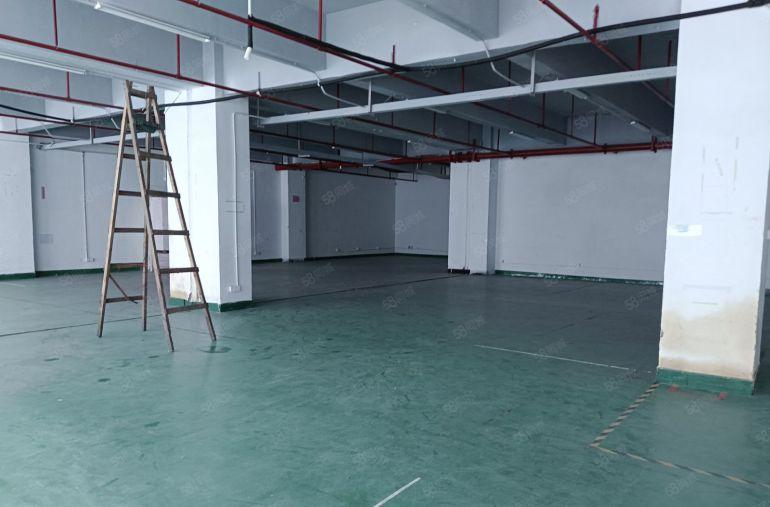 固戌原房东楼上精装修1050，1350，1800，3500平