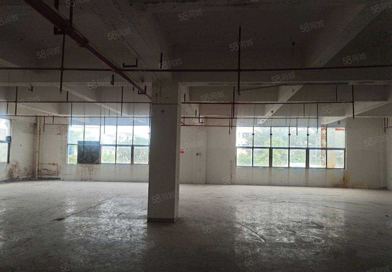 松岗地铁口旁独门独院21000平厂房出租，可分租，正在翻新