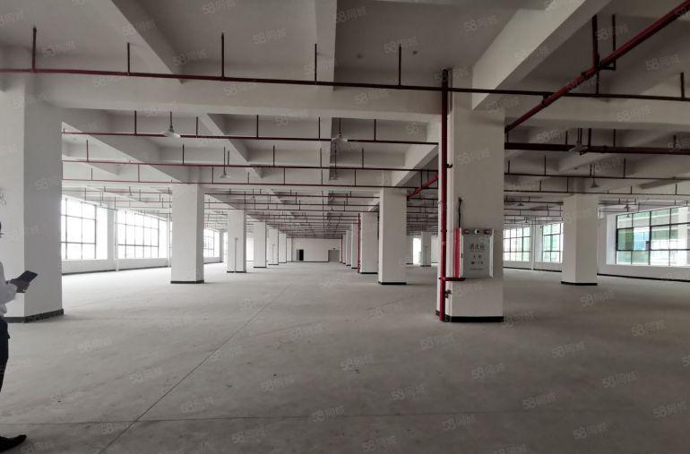 宝安沙井12万平花园式工业园500平起租有一楼仓库厂房出租