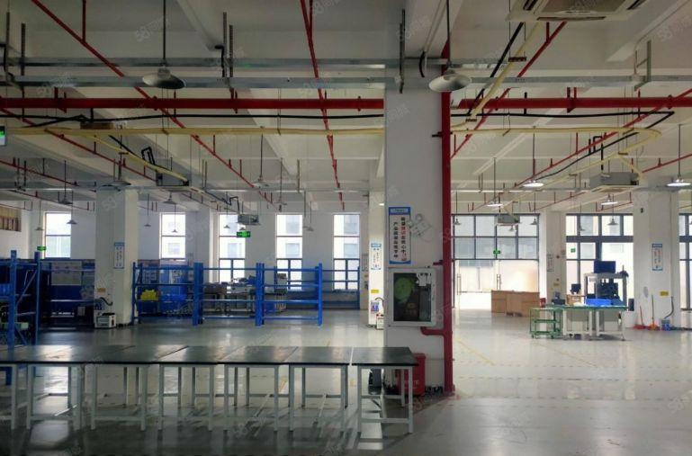 石岩同富裕工业区原房东厂房出租300平起租带精装修办公室