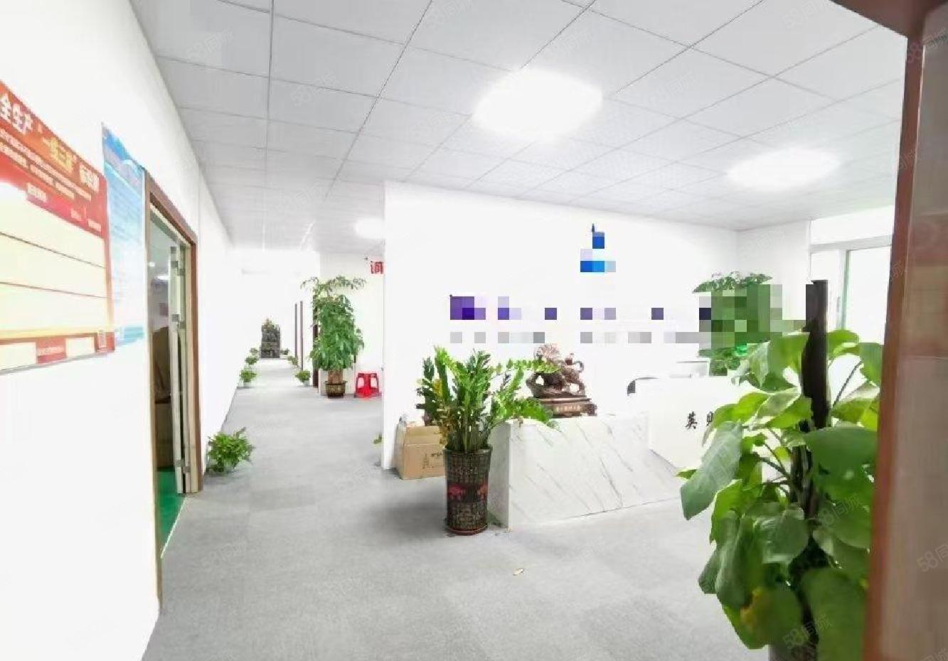 沙井共和厂房仓库招租900现成装修拎包入驻容易招工的地方