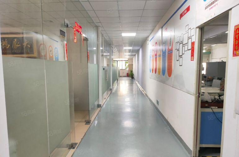 沙井107国道边厂房430平550平精装修