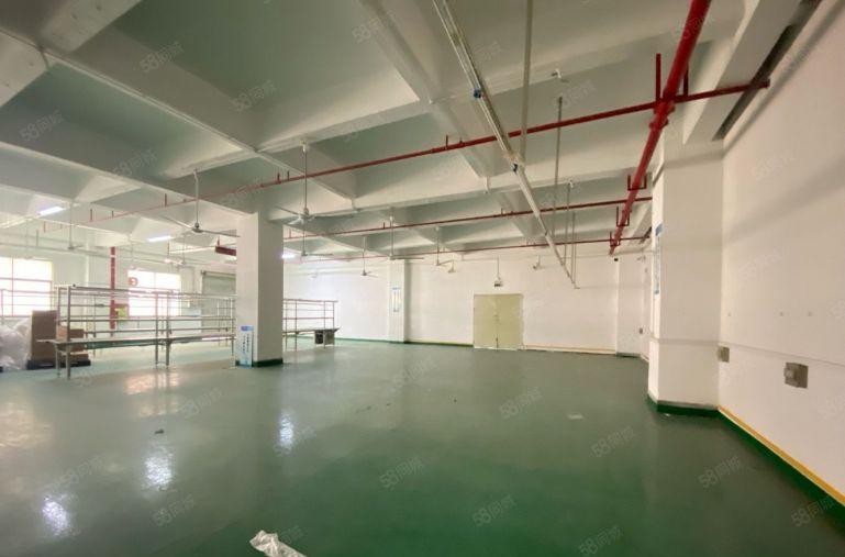 20元起松岗地铁口楼上500平精装修厂房出租仓库出租可分租