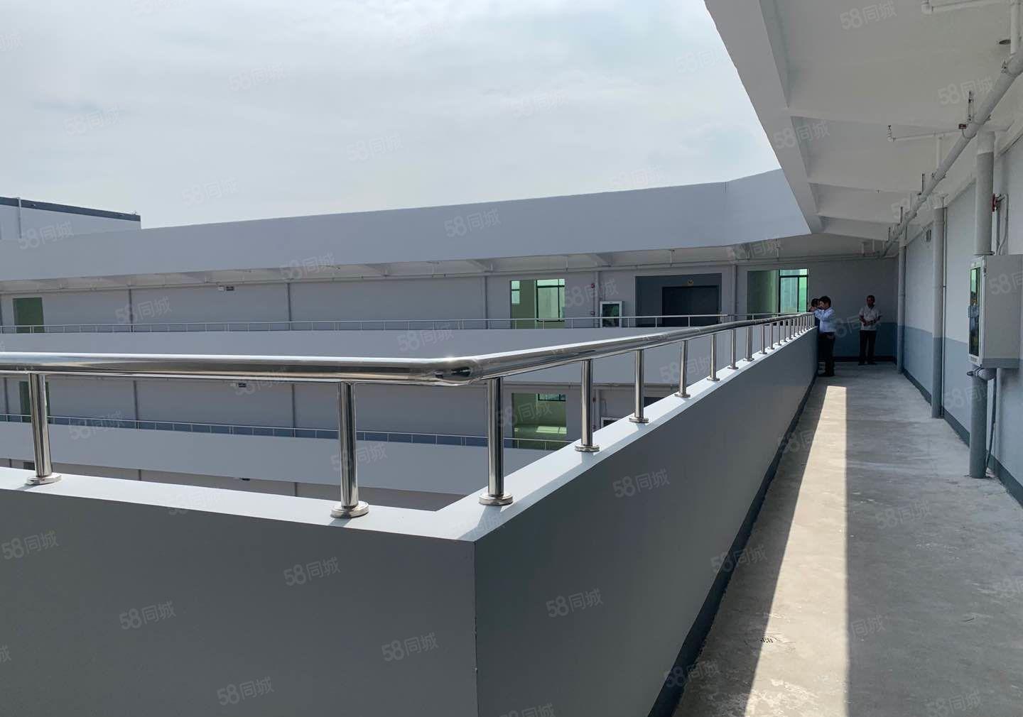 后亭全新装修厂房大小可分租