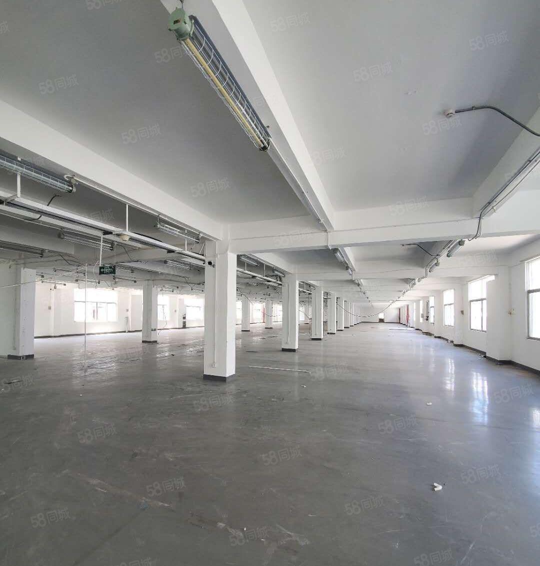 宝安5号线洪浪北地铁口整层1700平厂房，仓库物业直租