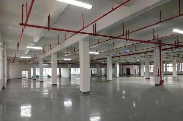 西乡宝安大道1000平方临街汽修4s展厅低价出租大小分租整租