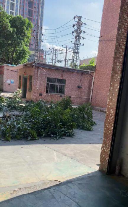 松岗原房东单一层独院钢构1100平厂房出租