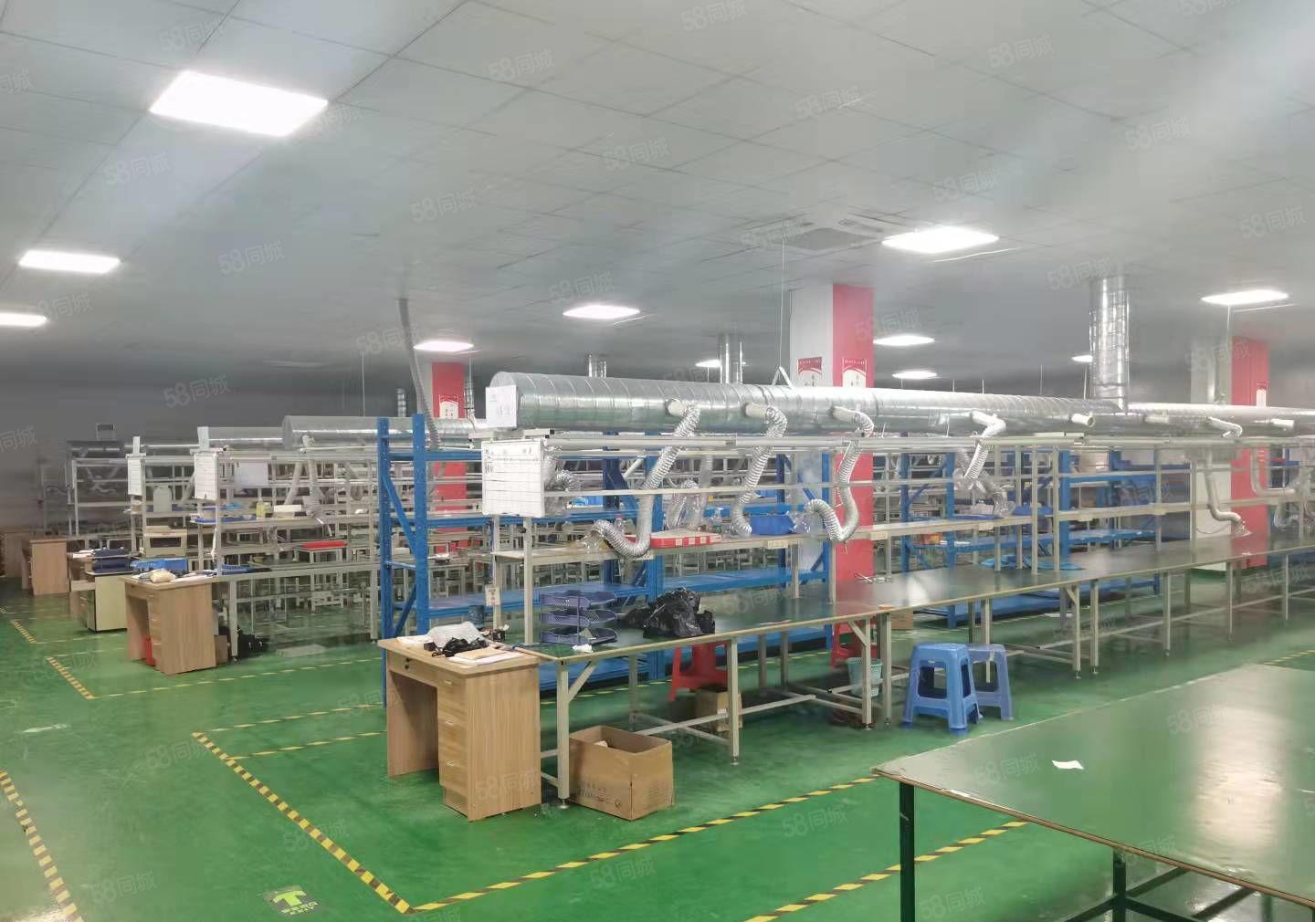 福永和平原房东红本整层2800平方带无尘车间厂房出租