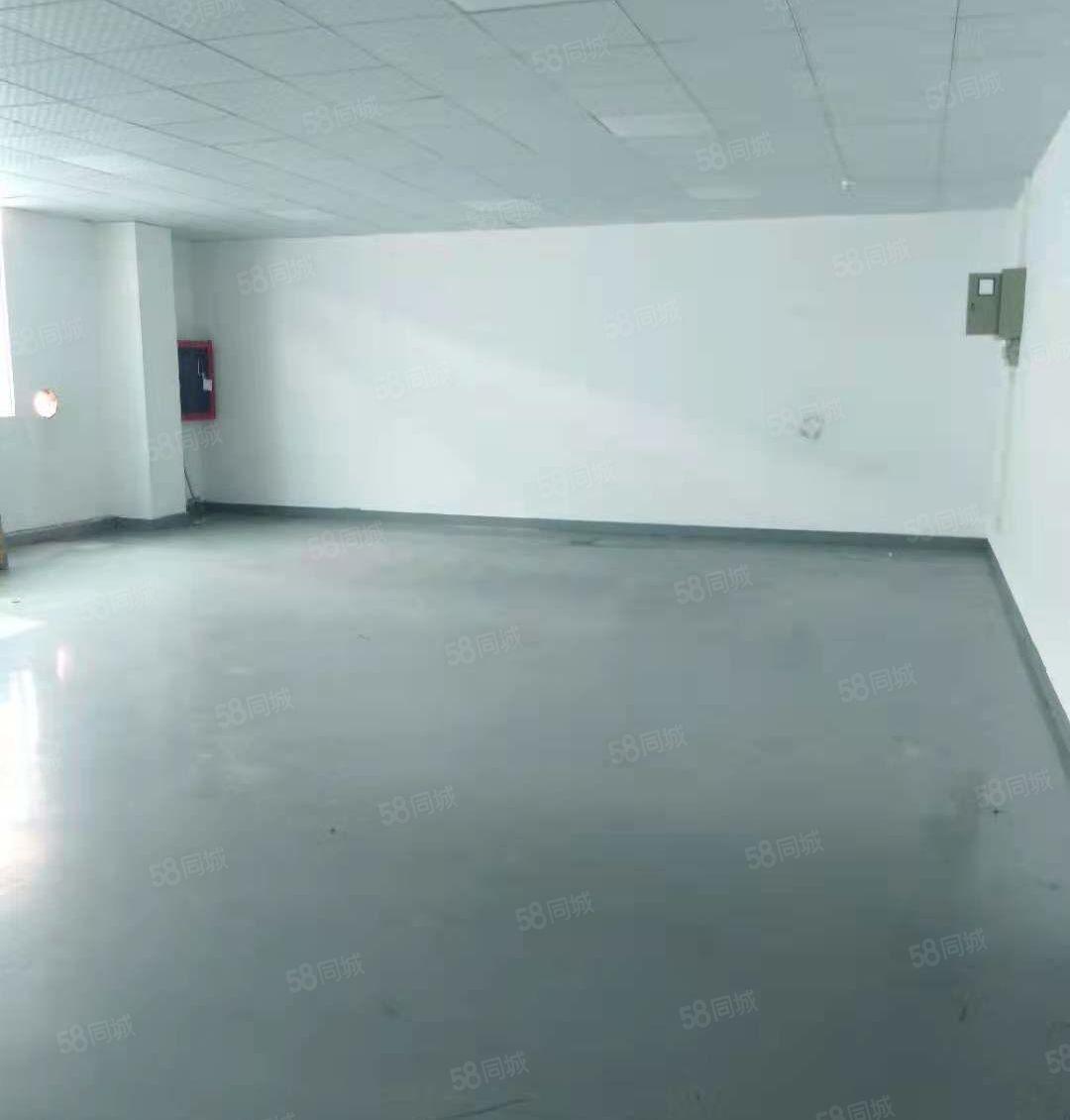 西乡银田工业园200和300平米带装修办公厂房出租