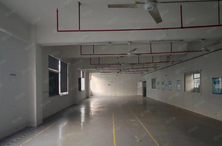沙井原房东1000平厂房精装修办公室带消防喷淋租金20元含税