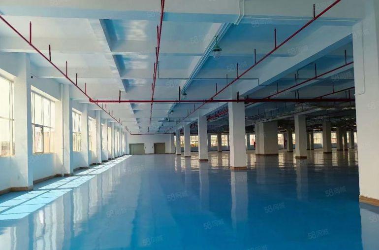 沙井原房东直租6000平独门独院精装办公厂房仓库出租，可分租